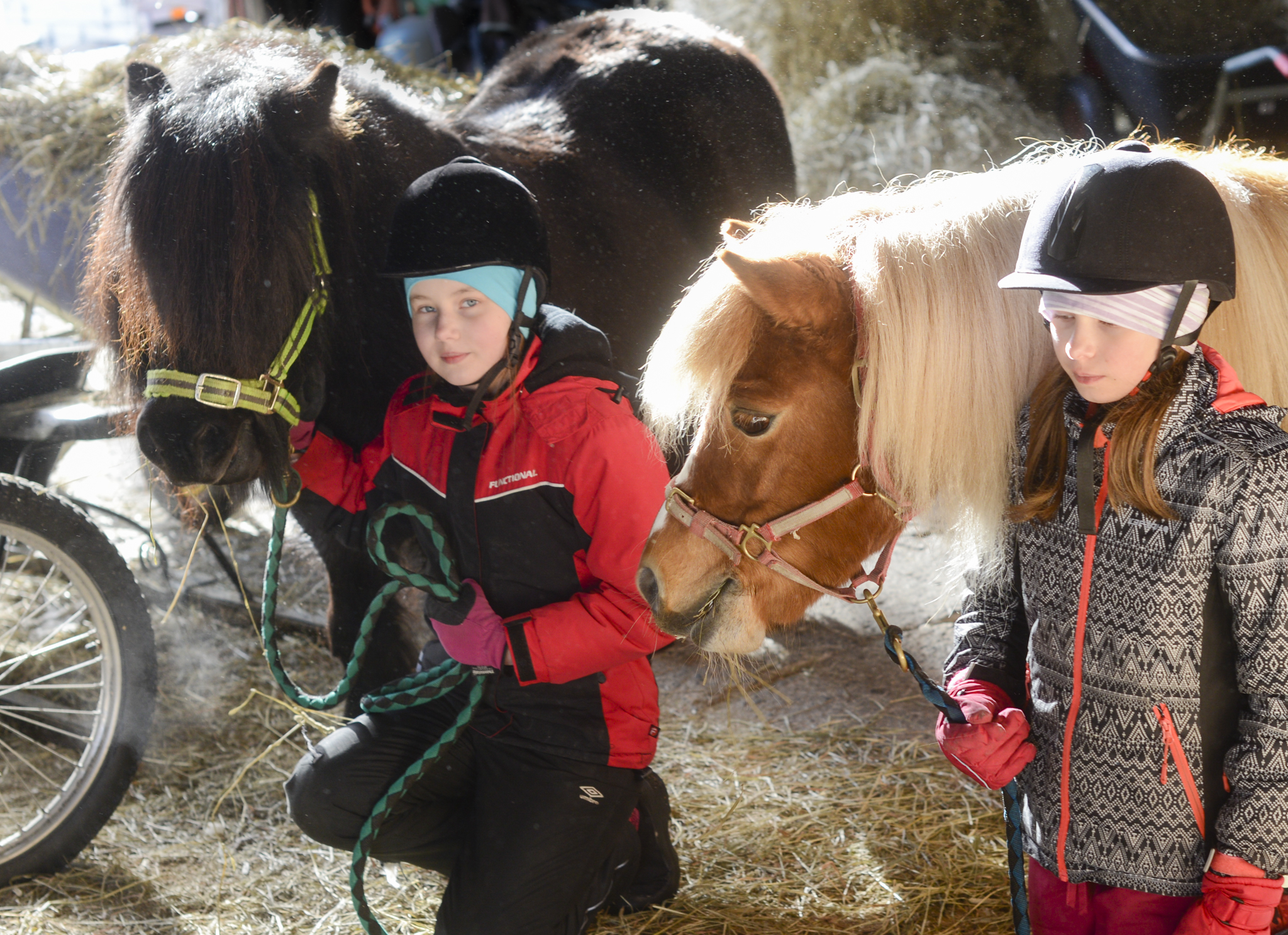Aino ja Sofia Väänänen poseeraavat Gale ja Centa -ponien kanssa. 