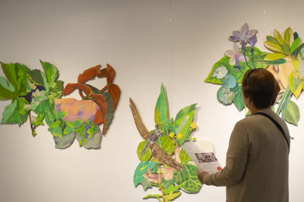 Yhden ihmisen näkemys maailmasta