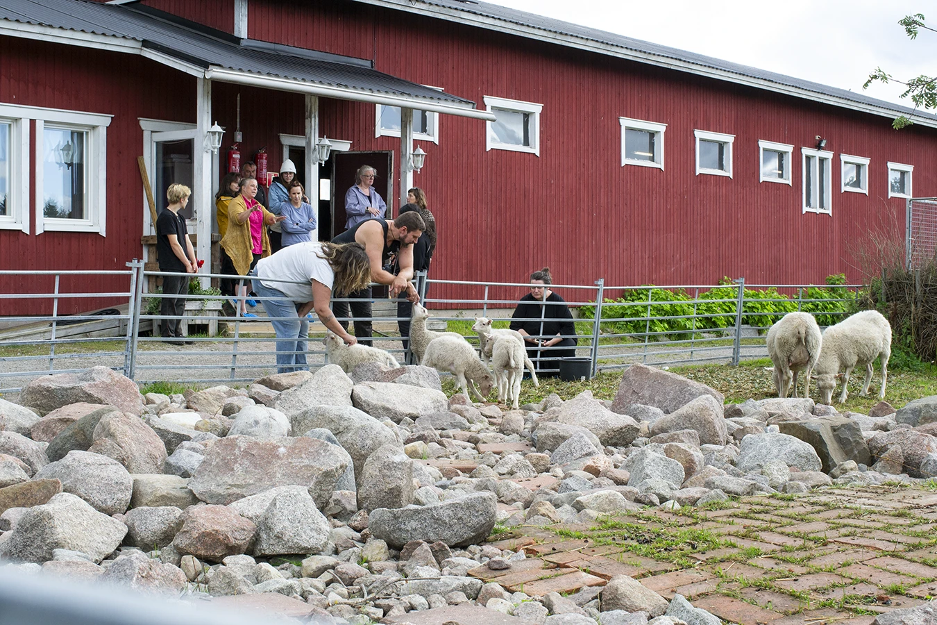 Villaleirille osallistuneita Isokummun lammastilalla. Osa silittää aitauksessa olevia karitsoja.