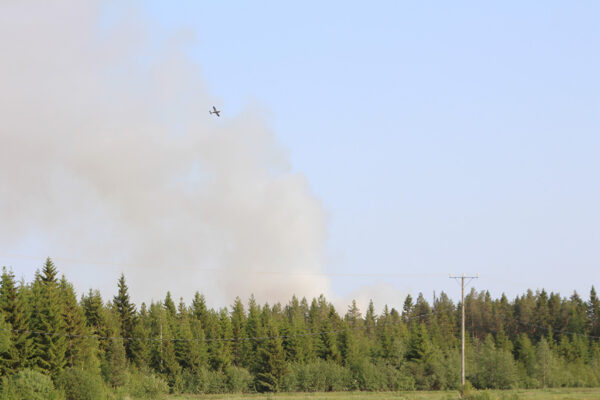 Maastopaloja risujen poltosta ja metsänuotion sytyttämisestä