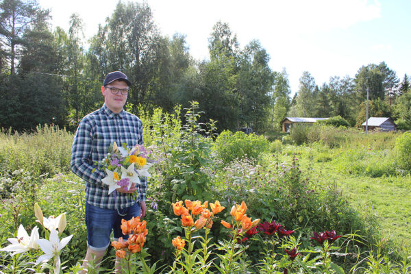 Ruusunnupussa on kukkia vielä syyskuuhun – Ensi kesän puutarha on tauolla
